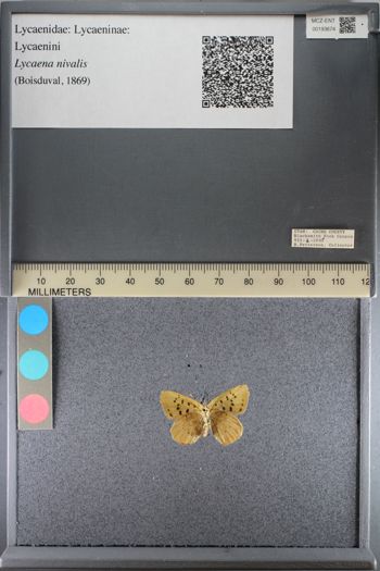 Media type: image;   Entomology 193674